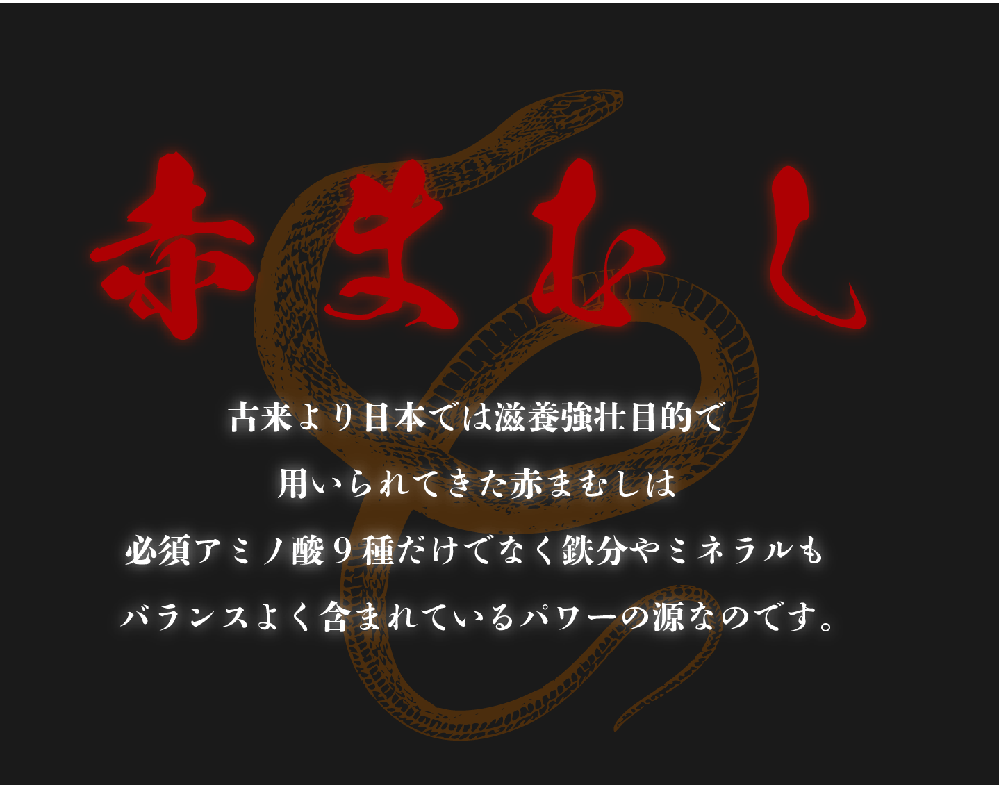 赤まむし　古来より日本では滋養強壮目的で用いられてきた赤まむしは必須アミノ酸9種だけでなく鉄分やミネラルもバランスよく含まれているパワーの源なのです。