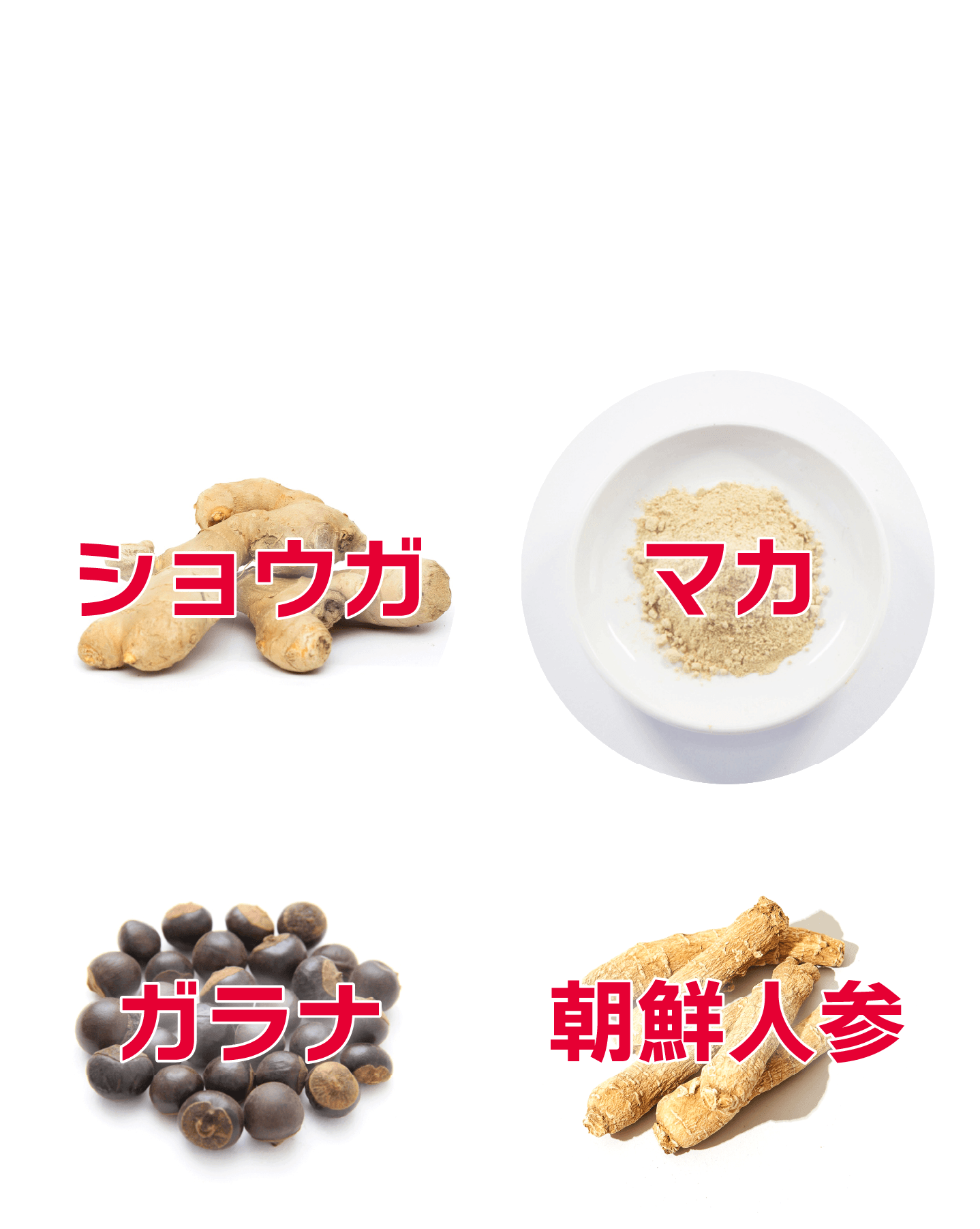 赤まむしベリアル＋には各種自然由来の有効成分が… ショウガ・マカ・ガラナ・朝鮮人参